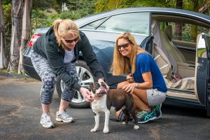 Happy customer drop off at Coastal Pet Sitters