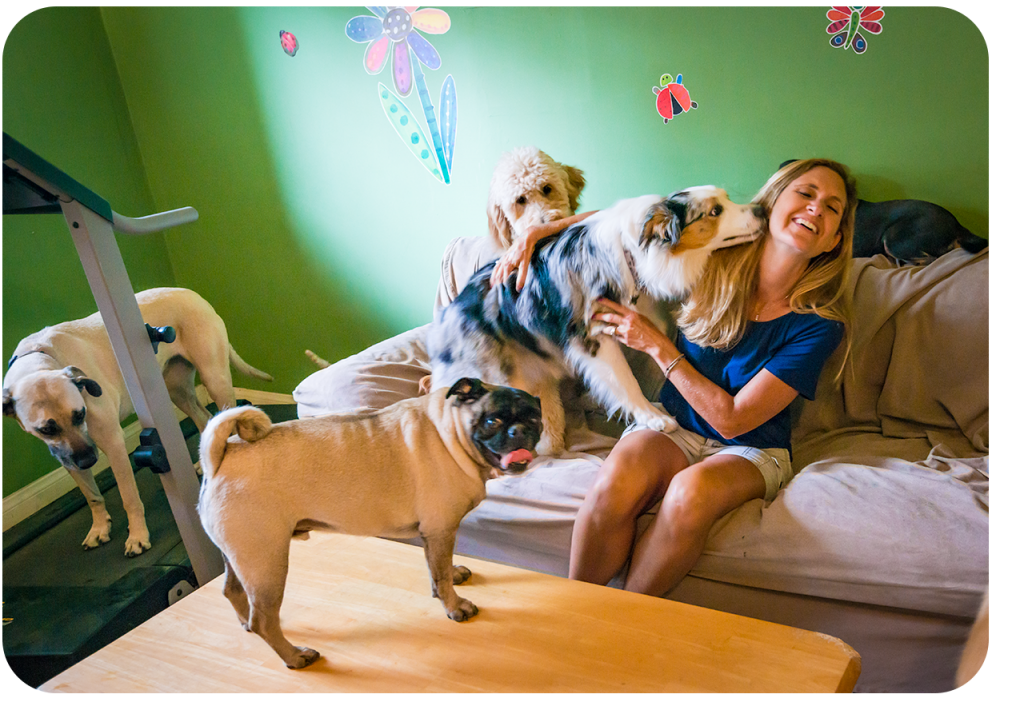Happy dogs at Coastal Pet Sitters!
